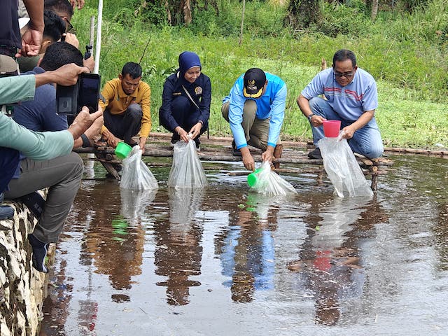 Pemkab HSU tebar ribuan bibit ikan untuk perkuat ekonomi lokal dan dukung konsep agrominapolitan dalam program HSU Bangkit. Foto: infopublik.id