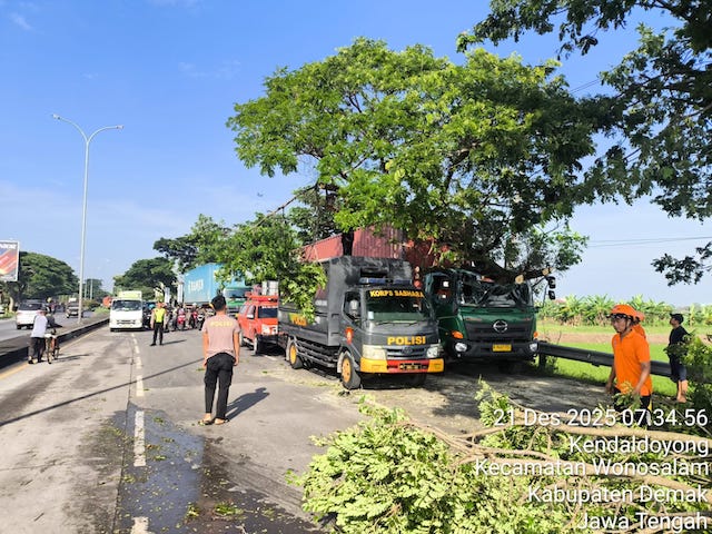 Truk kontainer tertimpa pohon trembesi di exit Tol Kadilangu Demak akibat hujan deras dan angin kencang. Lalu lintas sempat terganggu. Foto: infopublik.id